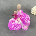 [11047] JR-A013 Jepit Bunga Hiasan Rambut Wanita Anggrek Kupu-Kupu Hairclip Flower Orchid Korean Style Aksesoris (JR-A013-Pink/Shades)
