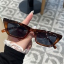 [10349] PL-H006 Kacamata Hitam Wanita/Pria Sunglasses Korean INS Fashion KM05 (PL-H006-Leopard)