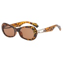 [11118] PL-H042 "Clear Stock" Kacamata Hitam Stylish Fashion Elegan Streetwear Kekinian Retro Chic Fashion Pria & Wanita (PL-H042-Leopard)
