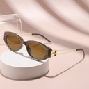 [11424] PL-H050 Kacamata Hitam European and American Wood Grain Leg Sunglasses Uv Protection (New Product) (PL-H051-Brown-Gold)