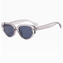 [10678] PL-WW012 Kacamata Cat Eye Wanita Pria Anti UV Frame Bingkai Titik Dua New Fashion Trendy (PL-WW012-Gray/Black)