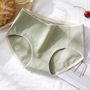 [10637] W-CD003 Celana Dalam Wanita Antibakteri Graphene Katun Hight Quality Terbaru Pakaian Dalam (W-CD003-Green)