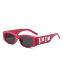PL-WW014 Kacamata Pelindung Anti UV Model HipHop Punk Untuk Wanita Pria Fashion Retro Vintage Women Glasses Trendy Style