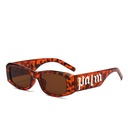 [10700] PL-WW014 Kacamata Pelindung Anti UV Model HipHop Punk Untuk Wanita Pria Fashion Retro Vintage Women Glasses Trendy Style (PL-WW014-Leopard)