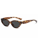 [10924] PL-H033-P1 Kacamata Premium Eksklusif Cat Eye Stylish Lensa Anti Silau UV400 Gaya Retro (PL-H033-P1-Leopard)