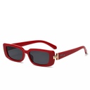 [10929] PL-H034-P1 Kacamata Premium Eksklusif Gaya Retro Modern Fashion Pria/Wanita (PL-H034-P1-Red)