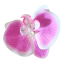 [11037] JR-A013 Jepit Bunga Hiasan Rambut Wanita Anggrek Kupu-Kupu Hairclip Flower Orchid Korean Style Aksesoris (JR-A013-White/Purple)