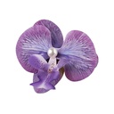 [11043] JR-A013 Jepit Bunga Hiasan Rambut Wanita Anggrek Kupu-Kupu Hairclip Flower Orchid Korean Style Aksesoris (JR-A013-Purple)