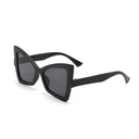 PL-WW023 Kacamata Wanita Oversized Lensa Gradiasi Model Cat Eye Kupu-Kupu Style Vintage