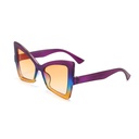 [11087] PL-WW023 Kacamata Wanita Oversized Lensa Gradiasi Model Cat Eye Kupu-Kupu Style Vintage (PL-WW023-Purple/Blue)