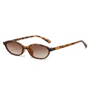 [11165] PL-H047 Kacamata Hitam Fashion Oval Retro Korean Look Sunglasses Vintage Fashion Wanita (PL-H047-Leopard)